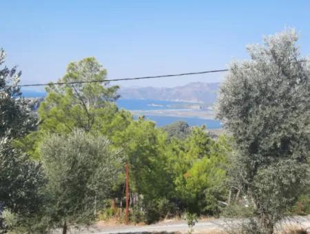 Muğla Dalyan Gökbelde Sea And Lake View, Swimming Pool, Furnished Stone House For Rent