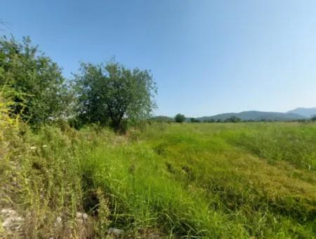 Ortaca Mergenlide Detached Title Deed 11.000 M2 Bargain Land For Emergency Sale