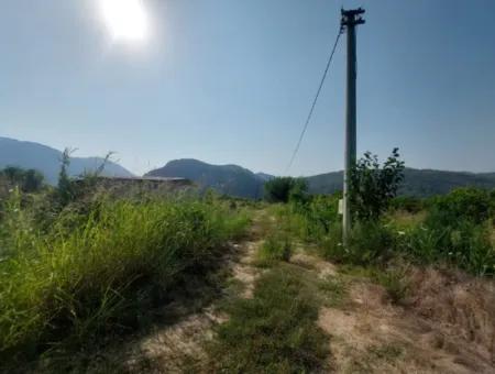 Ortaca Mergenlide Detached Title Deed 11.000 M2 Bargain Land For Emergency Sale