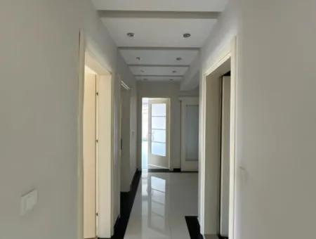 Residence 3 1 Luxury Boulevard Front Apartment For Rent