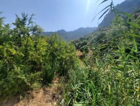 Muğla Dalyanda Mountain Zero, Waterside 10 500 M2 Pomegranate Garden For Sale