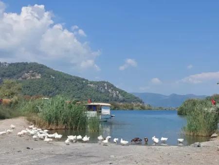 Muğla Ortaca Dalyanda 7.353 M2 Detached Land Close To The Canal For Sale