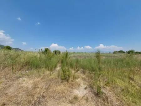 Muğla Ortaca Dalyanda 7.353 M2 Detached Land Close To The Canal For Sale