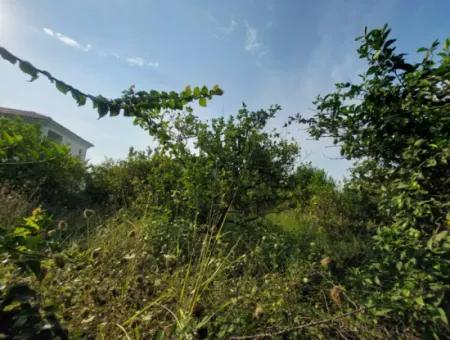 1.000 M2 Land For Sale In Ortaca Archers