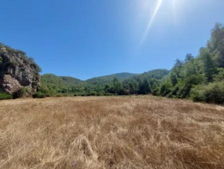 4.427 M2 Fertile Land With Mountain And Nature View In Ortaca Okçular For Sale