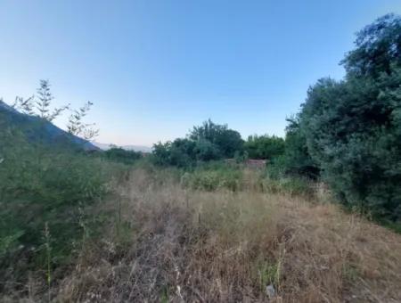 700 M2 Land With Lake View Construction Right In Köyceğiz, Yeşilköy For Emergency Sale