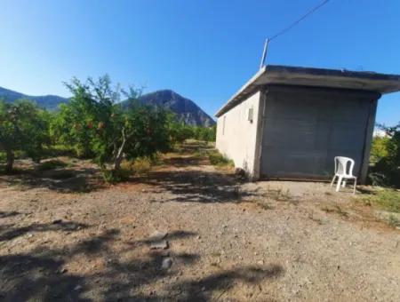 Muğla Dalyanda Well Maintained 35 000 M2 Land For Sale