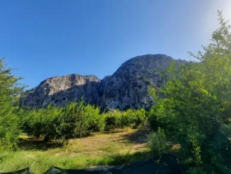 Muğla Dalyanda Well Maintained 35 000 M2 Land For Sale