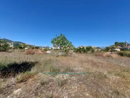 Muğla Dalyan 970 M2 Commercial Zoned Bargain Land For Sale