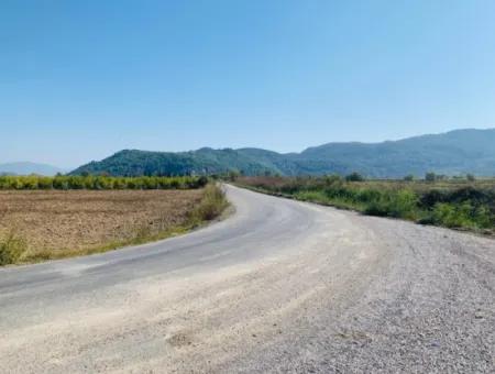 6000 M2 Corner Parcel Field For Sale In Ortaca Güzelyurt