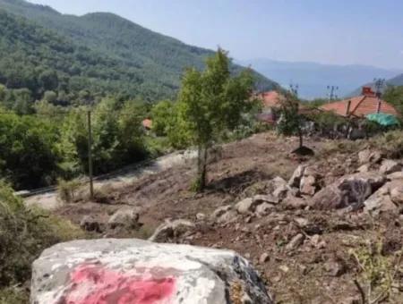 Muğla Köyceğiz Yayla Mah 560 M2 Land For Sale