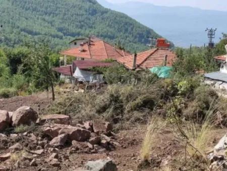 Muğla Köyceğiz Yayla Mah 560 M2 Land For Sale