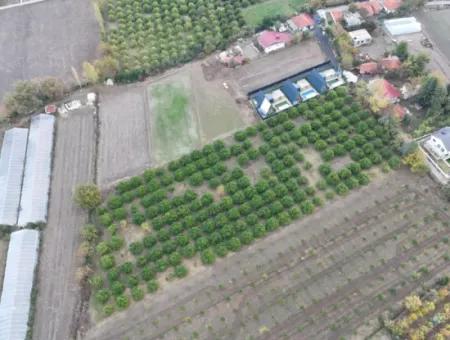 9750 M2 Land For Sale In Ortaca Okçular Zoning Plan Suitable For Investment