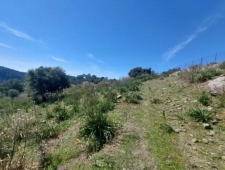 Ortaca Gökbelde 1896 M2 Land For Sale In Nature