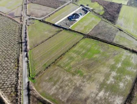 Fields Suitable For Cooperative In Ortaca Güzelyurt Are For Sale