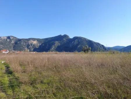 4.800 M2 Land For Sale In Muğla Ortaca Dalyan