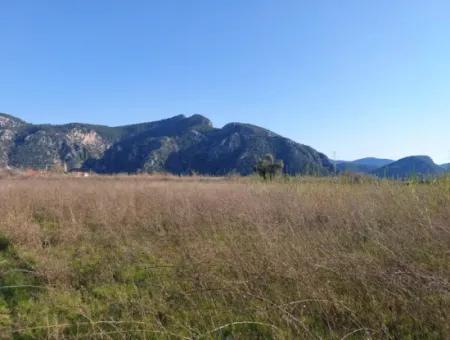 4.800 M2 Land For Sale In Muğla Ortaca Dalyan