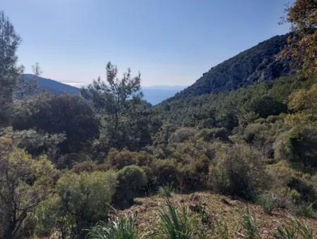 28.350 M2 Land For Sale In Ortaca Gökbelde With Detached Title Deed Sea View