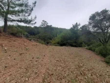 24.000 M2 Detached Land For Sale In Muğla Dalyan Gökbelde Nature