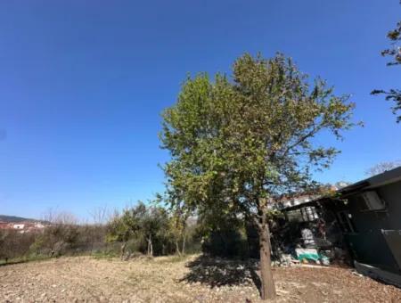 600 M2 Zoned Land For Rent In The Center Of Ortaca