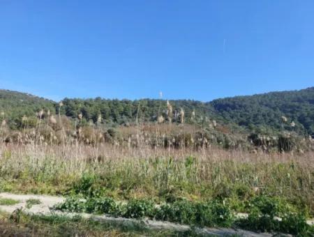 Fertile 6.350 M2 Land For Sale In Muğla Ortaca Güzelyurt