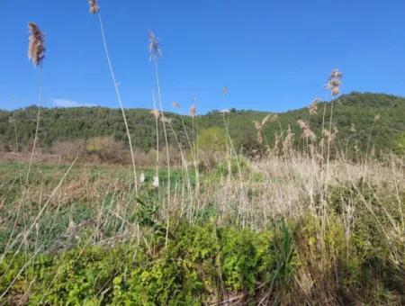 Fertile 6.350 M2 Land For Sale In Muğla Ortaca Güzelyurt