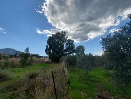 Muğla Köyceğiz Çandırda 3.750 M2 Land For Sale Close To Dalyan Canal