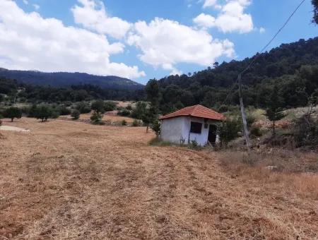 7 350 M2 Detached Land And House For Sale Or In Exchange With Apartment In Çameli Cevizli