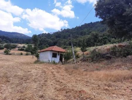 7 350 M2 Detached Land And House For Sale Or In Exchange With Apartment In Çameli Cevizli