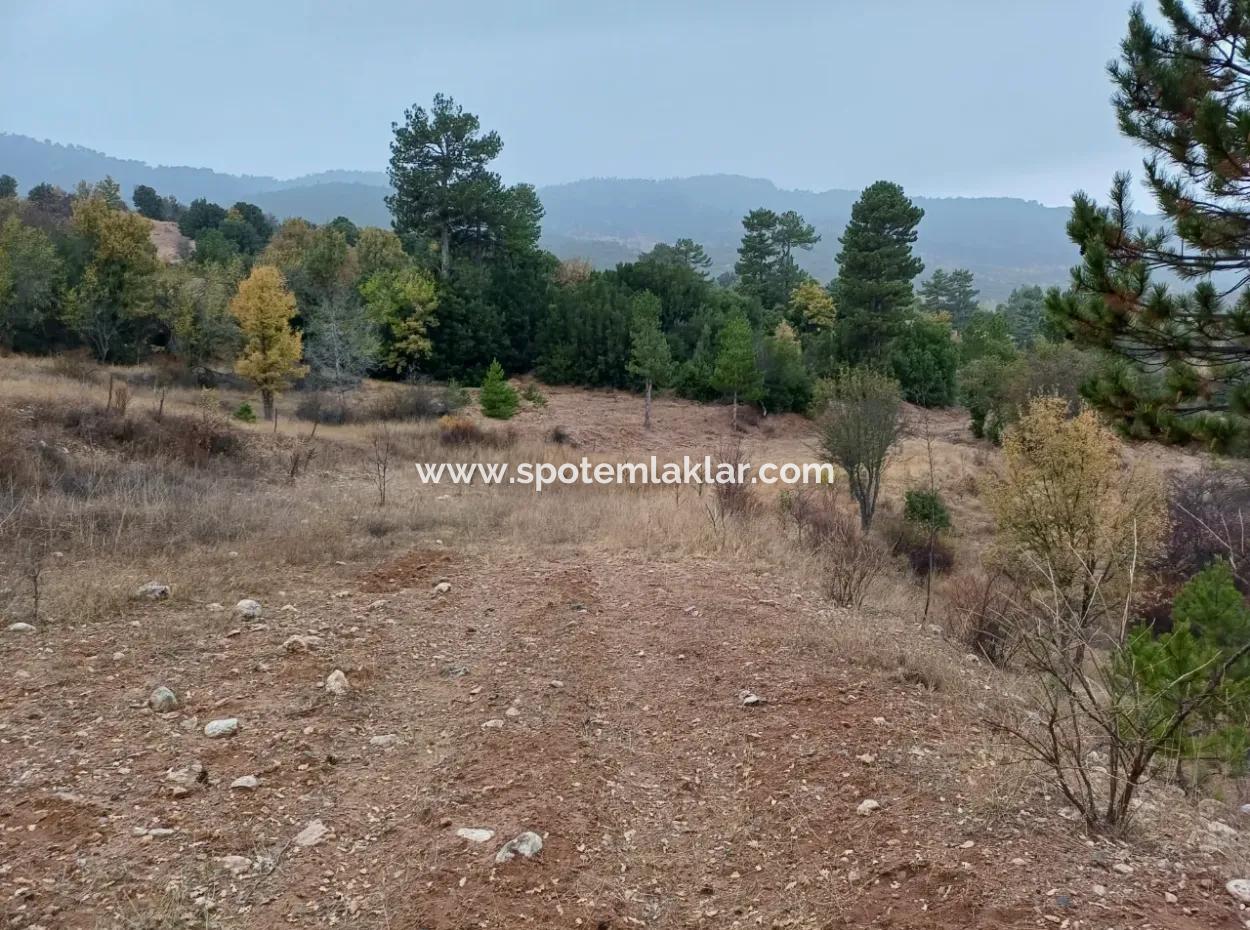 Burdur Gölhisar Yeşilderede 1 900 M2 Müstakil Kelepir Arazi Satılık