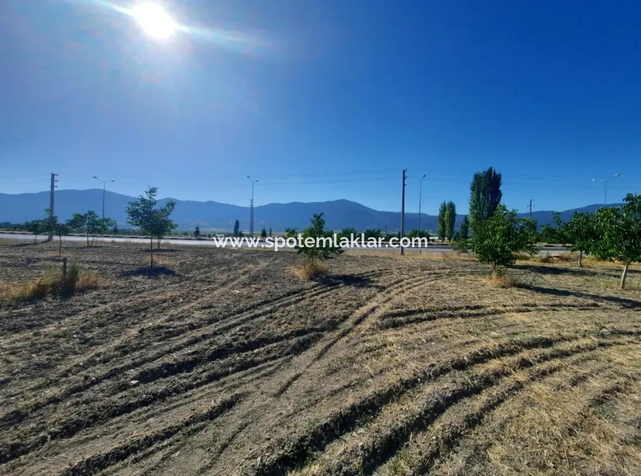 Denizli Çameli Kolakta 1 700 M2 Müstakil Arazi Satılık