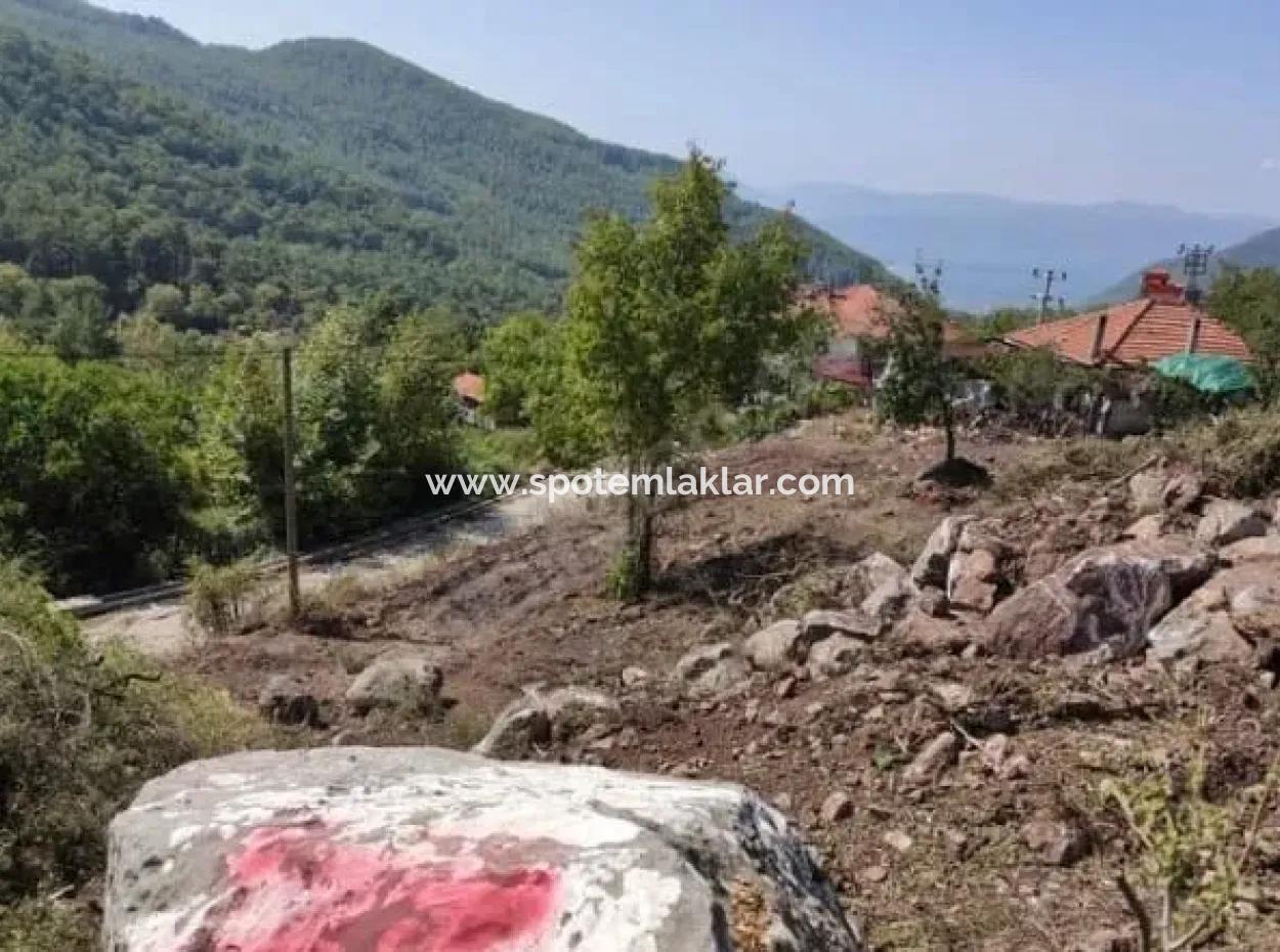 Muğla Köyceğiz Yayla Mah 560 M2 Arsa Satılık