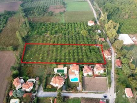 Muğla Okçular Marmarlıda 4.000M2 İmar Planı İçinde Arsa Yatırıma Uygun Satılık