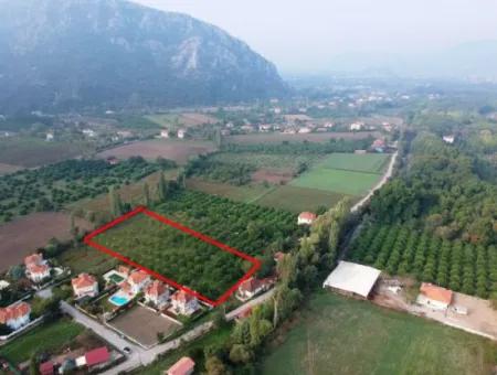 Muğla Okçular Marmarlıda 4.000M2 İmar Planı İçinde Arsa Yatırıma Uygun Satılık