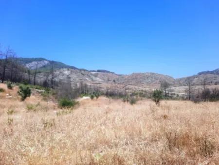 Muğla Dalamanda 42.432M2 Müstakil Tapulu Arazi Satılık