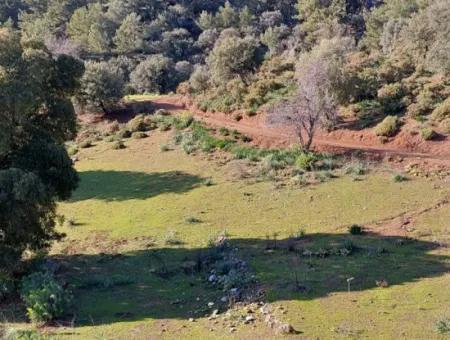 Ortaca Gökbelde Müstakil Tapulu Deniz Manzaralı 28.350 M2 Arazi Satılık