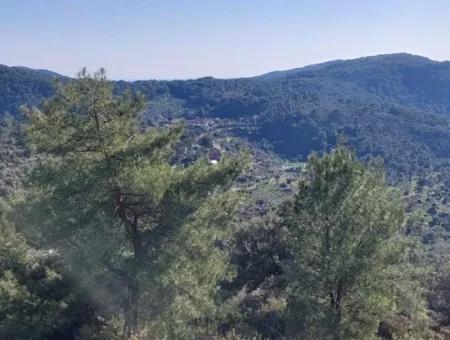 Ortaca Gökbelde Müstakil Tapulu Deniz Manzaralı 28.350 M2 Arazi Satılık