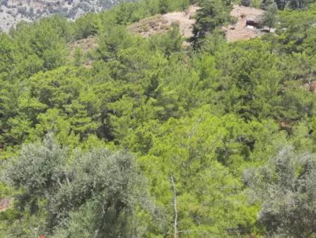 Gökbelde Müstakil Tapulu Satılık 239 M2