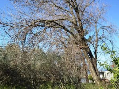 Fethiye Kadıköyde Satılık Müstakil Köy Evi